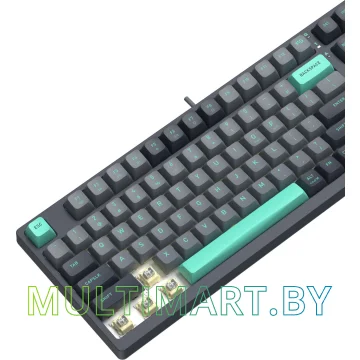 Клавиатура A4Tech Fstyler FS300 Panda Rock Climbing картинка 12